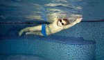 Kurz plavání pro předškoláky - pokračující
